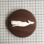 mamekonaの画像