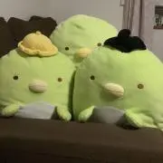 ぴっぴの画像