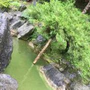 yama