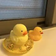 momoichiの画像