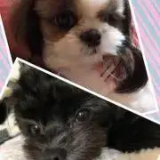 ててここ ⭐︎フォロー割実施中⭐︎の画像