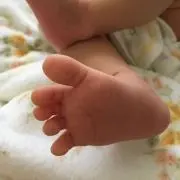 あやすぬの画像