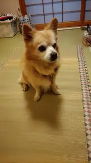 かずやの画像