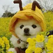 ひぃ♪プロフ必見♪