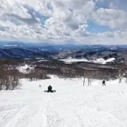 saraの画像