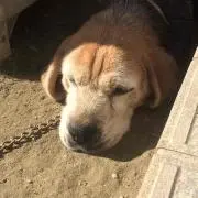 とむとむ