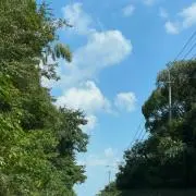 なおの画像