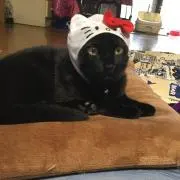 ちーこ