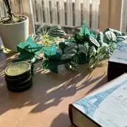 あいすの画像
