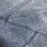 イヌ