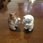 きゃりーの画像