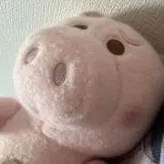 ハムの画像