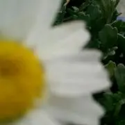 itoshikiの画像