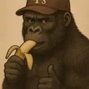 ワイズの画像