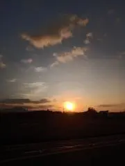 グシオン