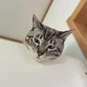るる