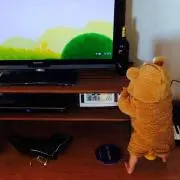 keloooonの画像