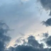 ちーずの画像