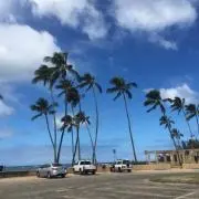 Phanchaの画像