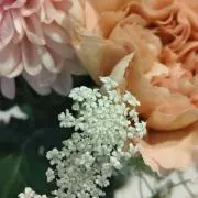 いちごの画像