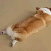 Yusukeの画像