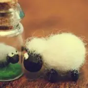 PARUKIKI