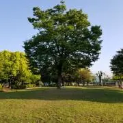 RIKAママ♪の画像