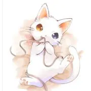 ふるもっふ