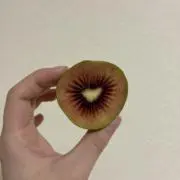 ちーはんの画像