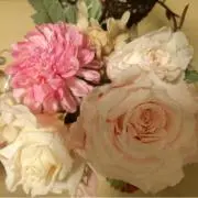 flowerの画像
