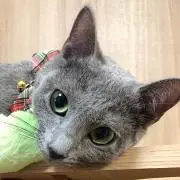 saori【プロフ必読】の画像