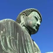 レモンの画像