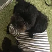 さおこ