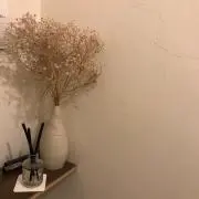 はなの画像