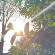 yyの画像