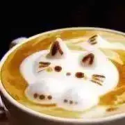 yoshiの画像