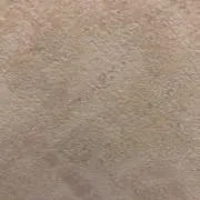 Y Yの画像