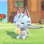 pの画像