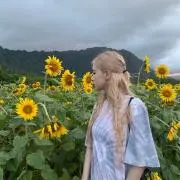 たいやきの画像