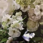 きょうの画像