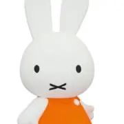 みーの画像