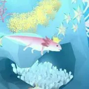 ぷくぷくの画像
