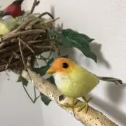 とりまーけっとの画像