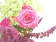 masa63の画像