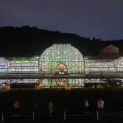 t-kobaの画像