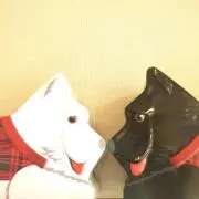 メイモの画像