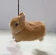 みるみるの画像