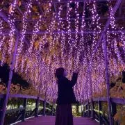 うみみの画像