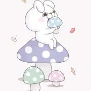 suicaの画像