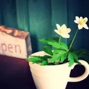 ぴー✱値下げ希望はコメントでお願いしますの画像